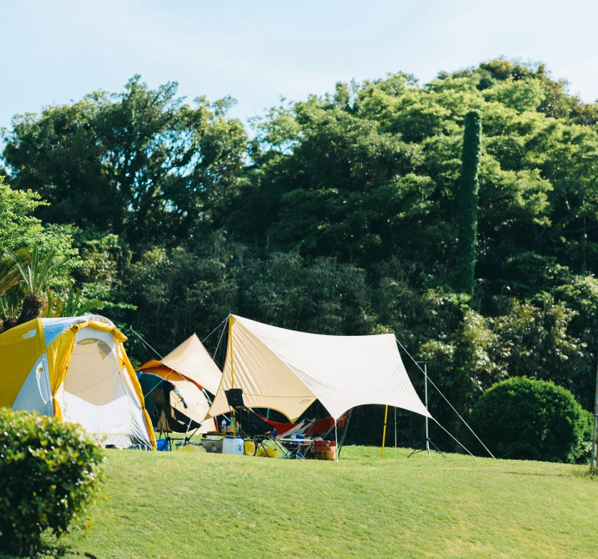 キャンプ場 / ユーザーニーズの深い理解